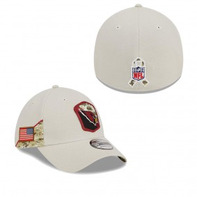 Men's Arizona Cardinals Stone 2023 Salute To Service 39THIRTY Flex Hat